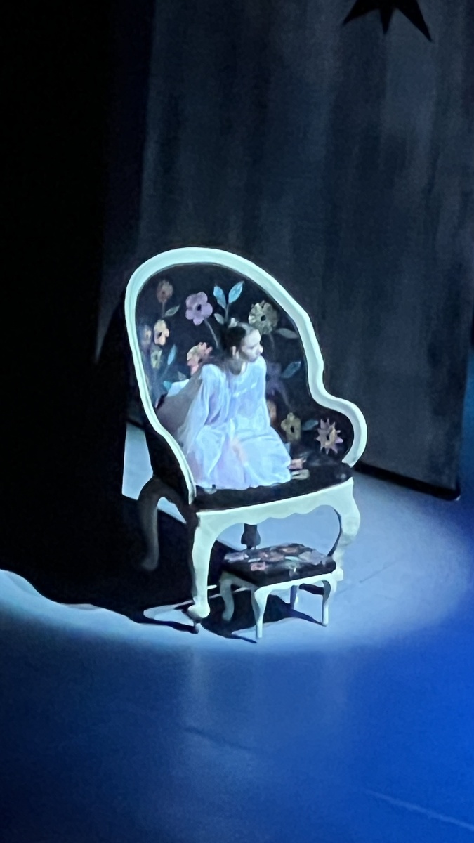 Мари в Большом кресле