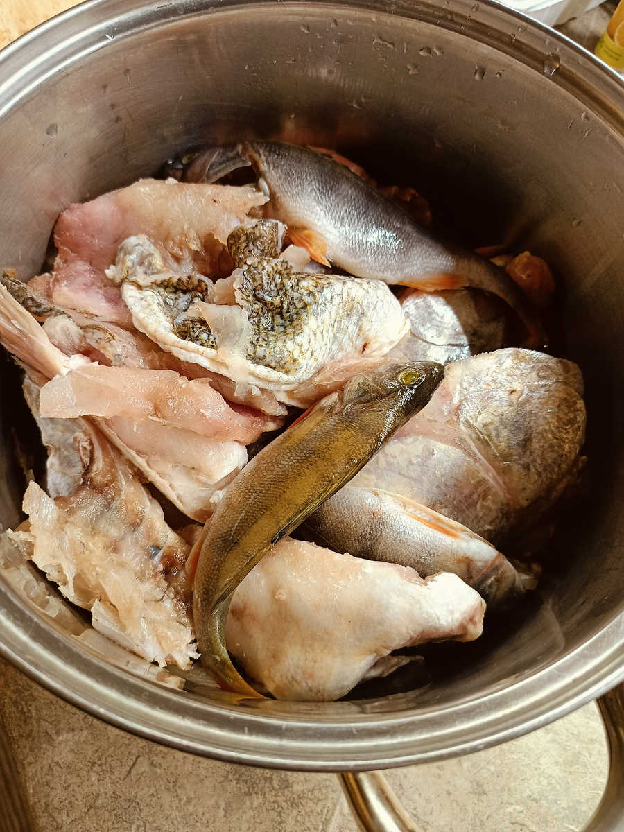 рыбные "запчасти", головы и кости судака, горбуши, окунь