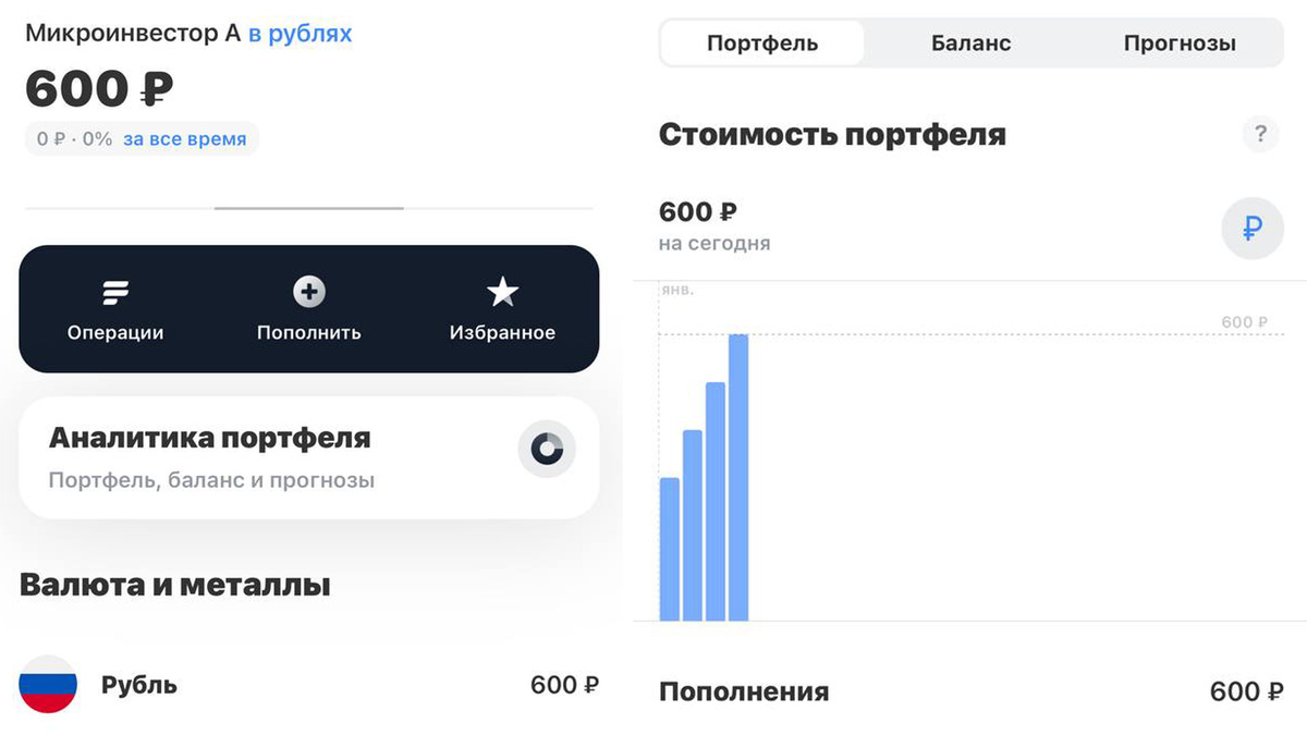Портфель по состоянию на 06.01.2025