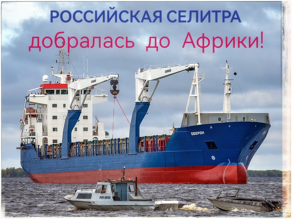 Подписывайтесь на наш канал "Нарполит" и не упустите свежие политические тренды!