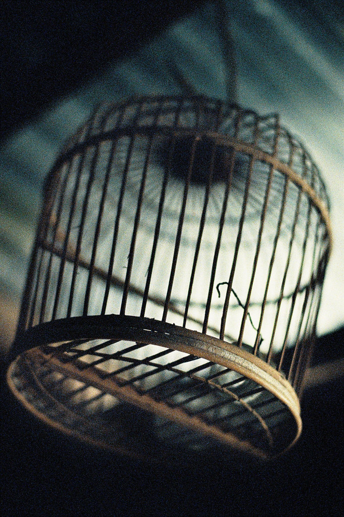 Фото из Интернета