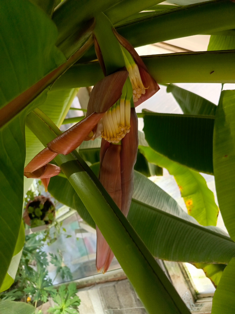 8 декабря 2024