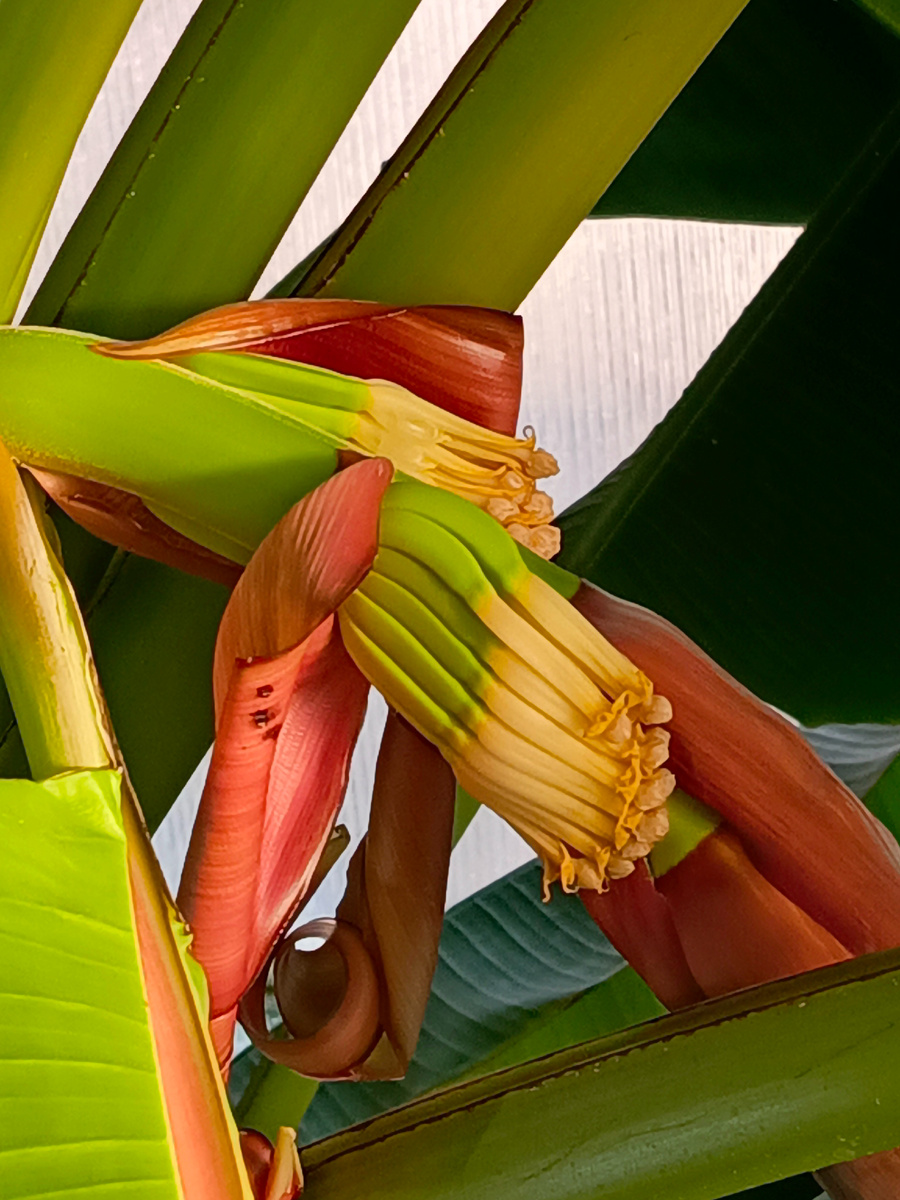 8 декабря 2024