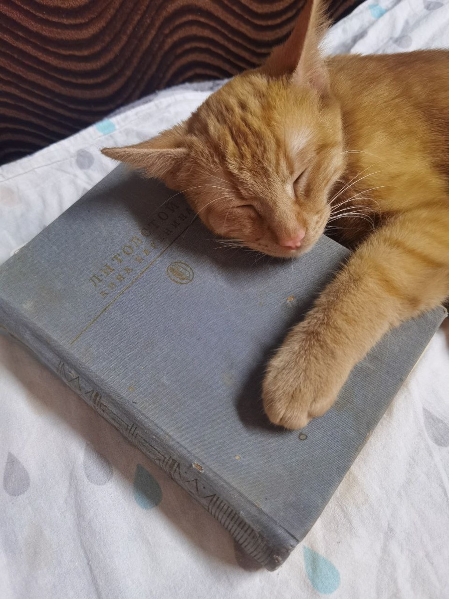 Первое дочтение 2025-го