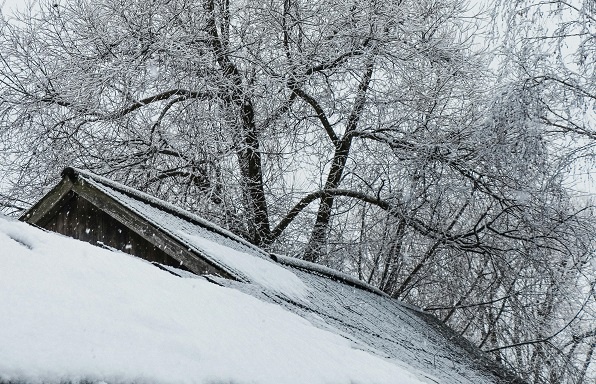 Фотограф: Lera Mk: https://www.pexels.com/ru-ru/photo/8335977/ 