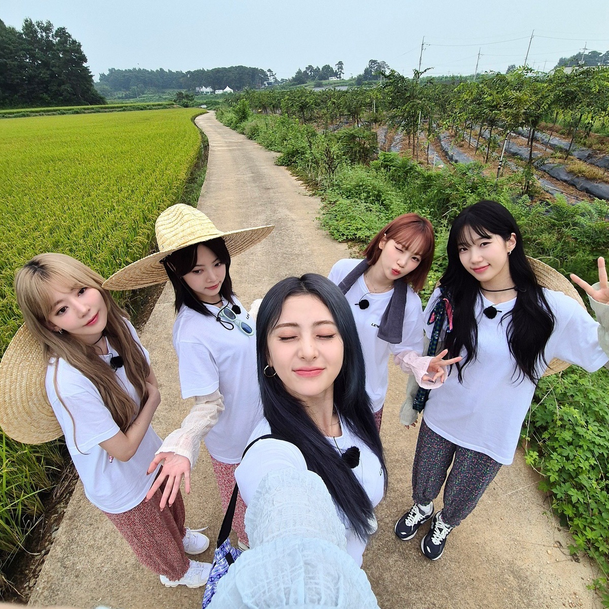    LE SSERAFIMСоцсети