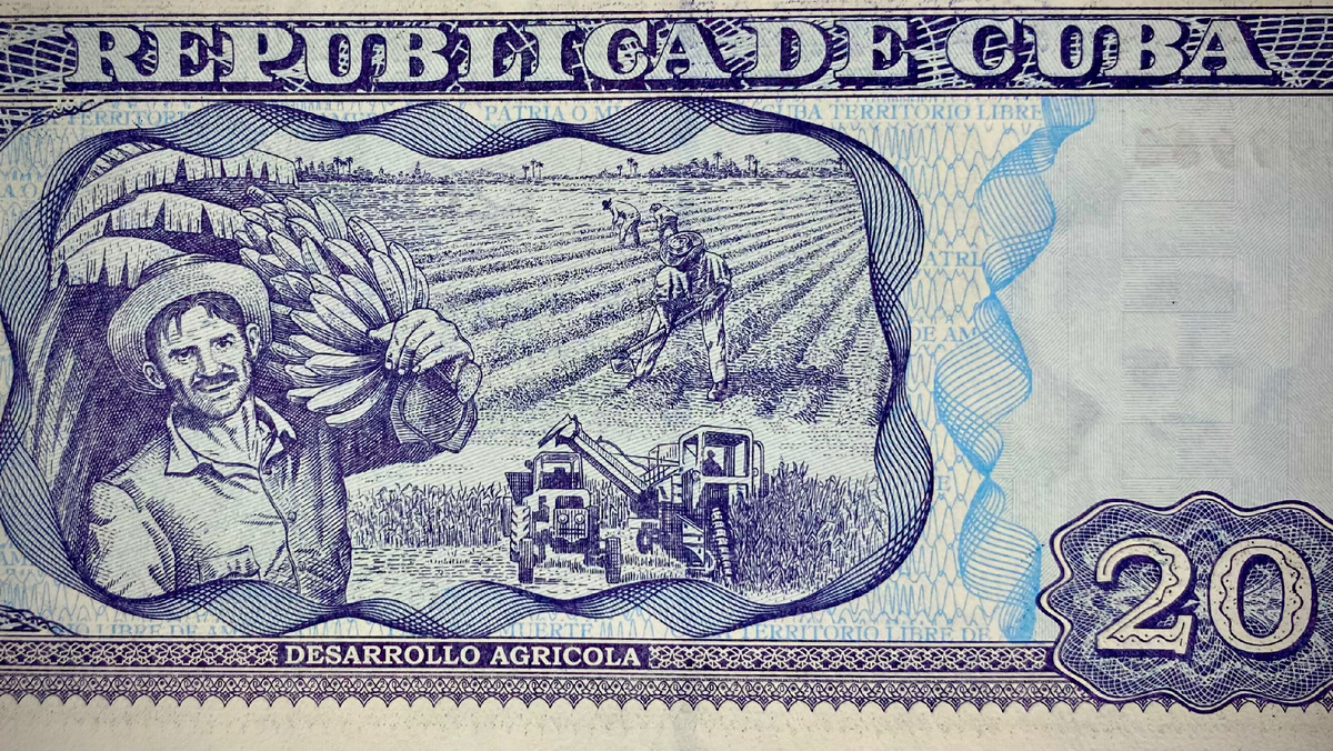 Своего старшего сына Че Гевара назвал Камило, в честь Сьенфуэгоса…