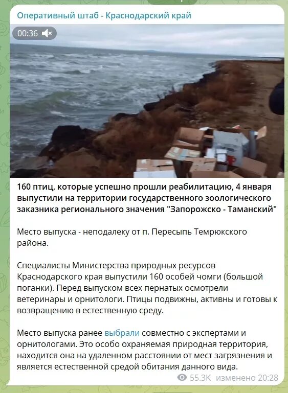 Пост оперштаба о выпуске птиц.