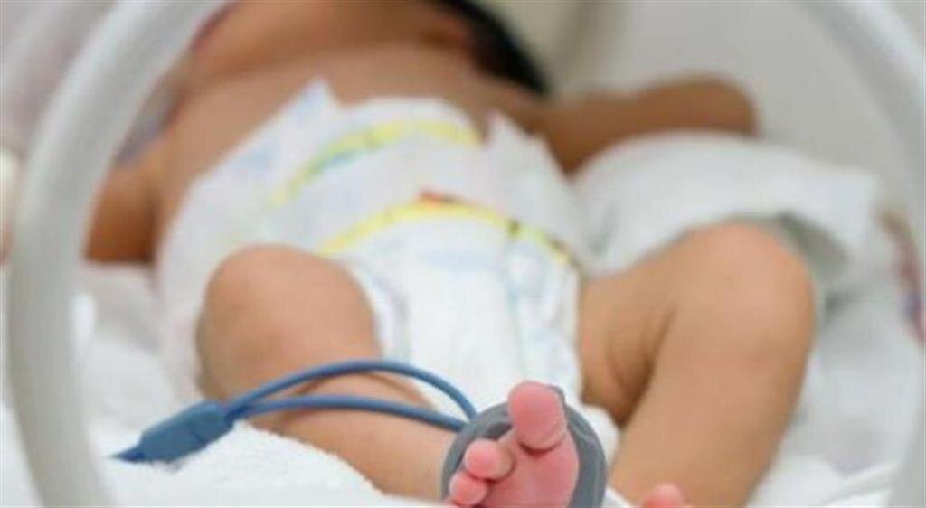 Фото: prensa-latina.cu