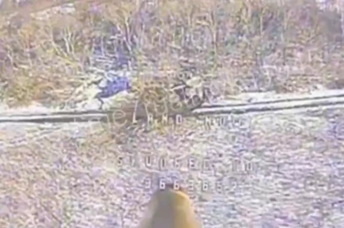    «РВ»: российские военные сожгли танк ВСУ Challenger в Курской области