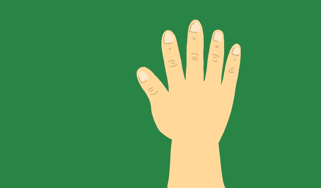 Как они все называются?