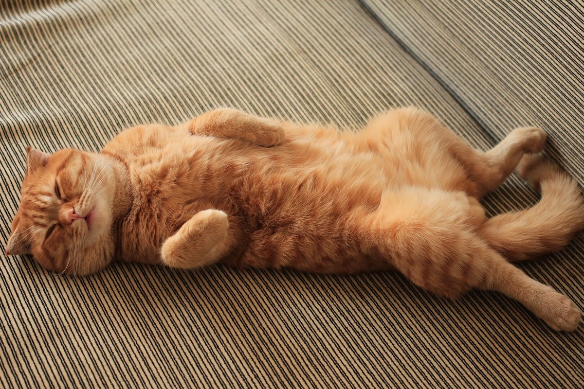 Фото из Интернета.