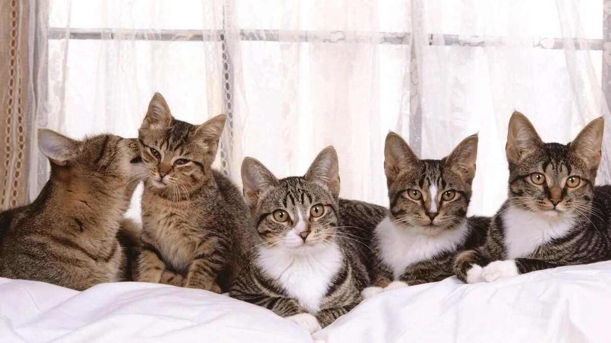 Фото из Интернета.