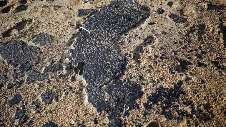 © РИА Новости / Виталий Тимкив