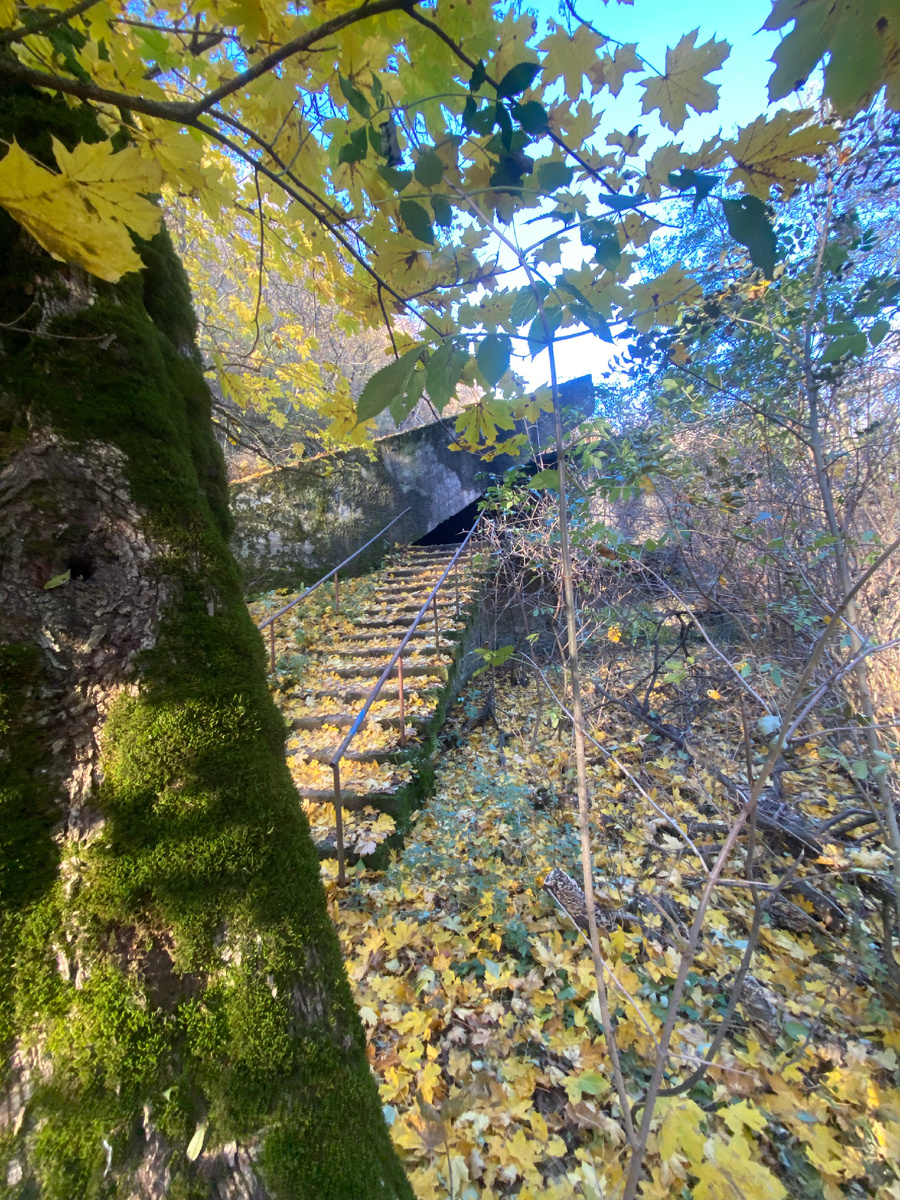 Грот вечной мерзлоты