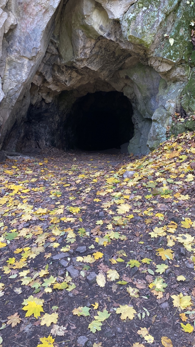 Заброшенная штольня