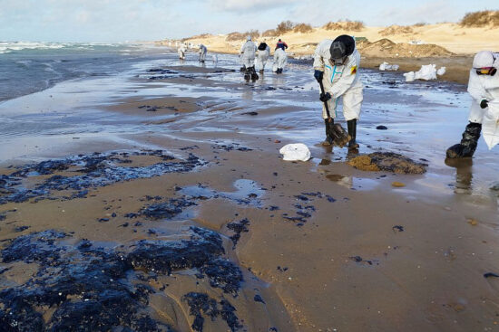 Фото: Яндекс картинки