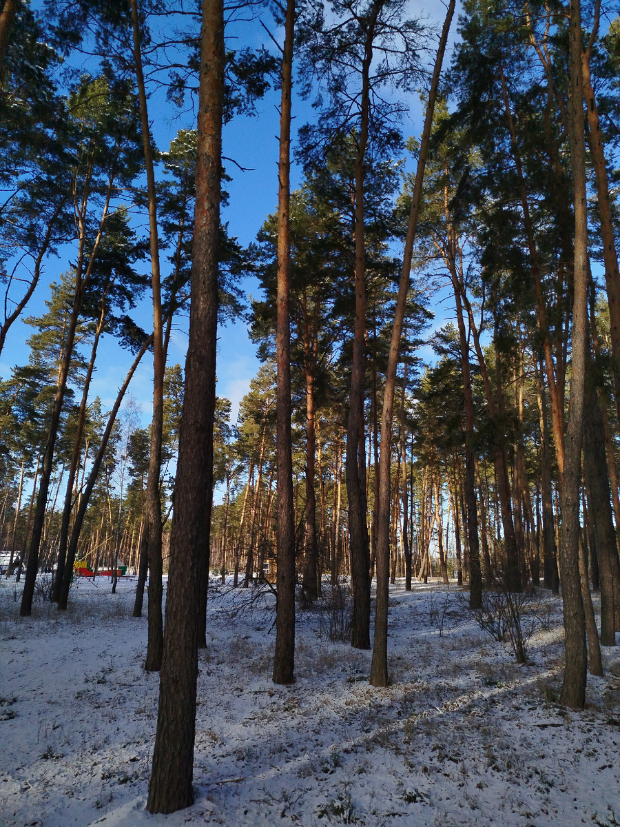 Червленый Яр