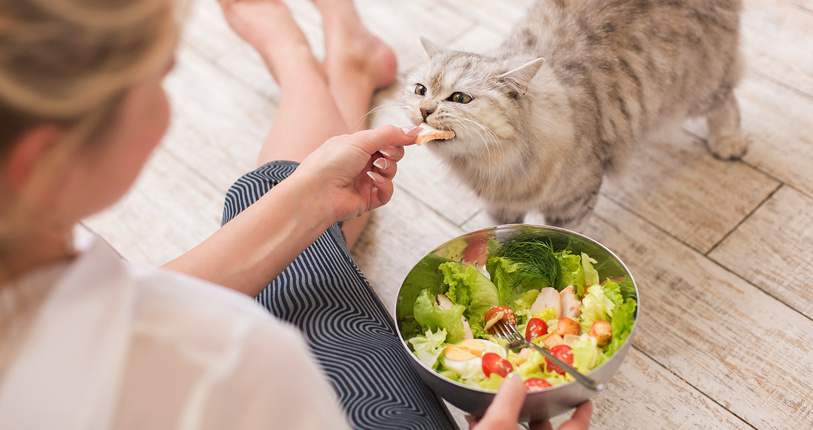 Фото из Интернета. 