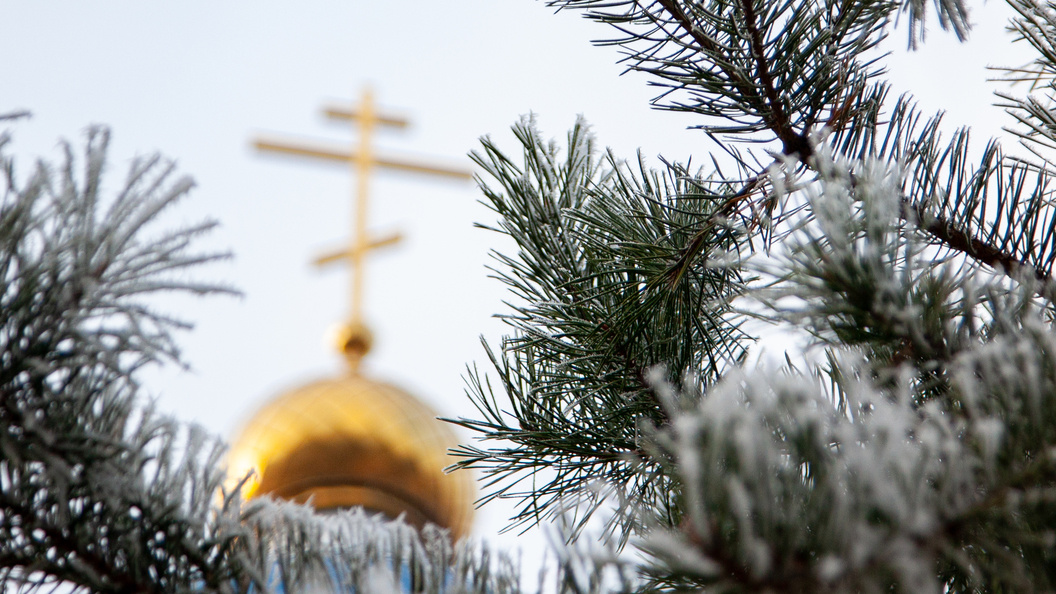    Фото: Oksana Korol/Business Online/Globallookpress