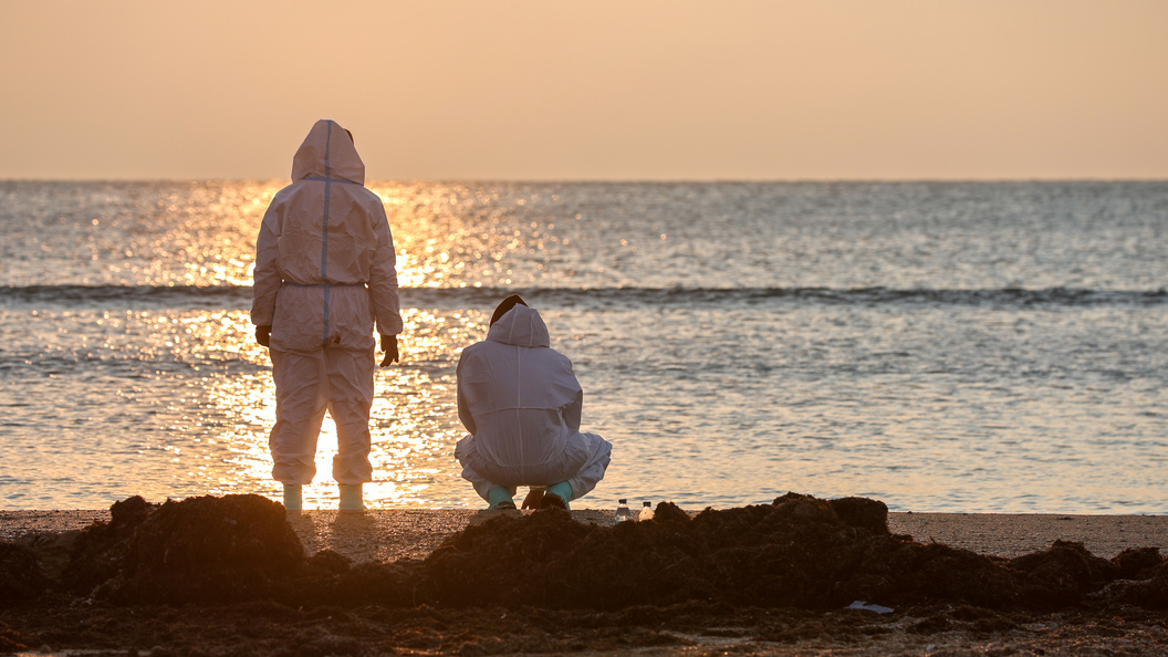    Фото: Belkin Aleksey/news.ru/Globallookpress