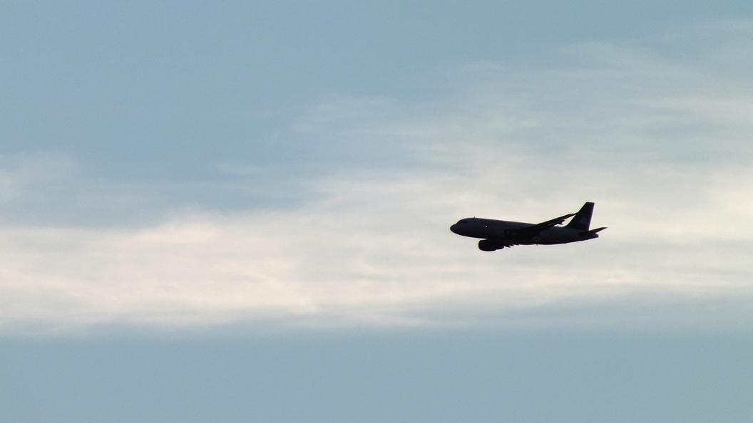    виктор лисицын/Globallookpress