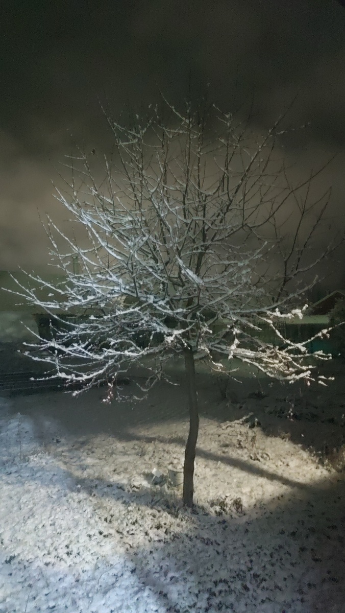 Просто зима. Фото автора. 