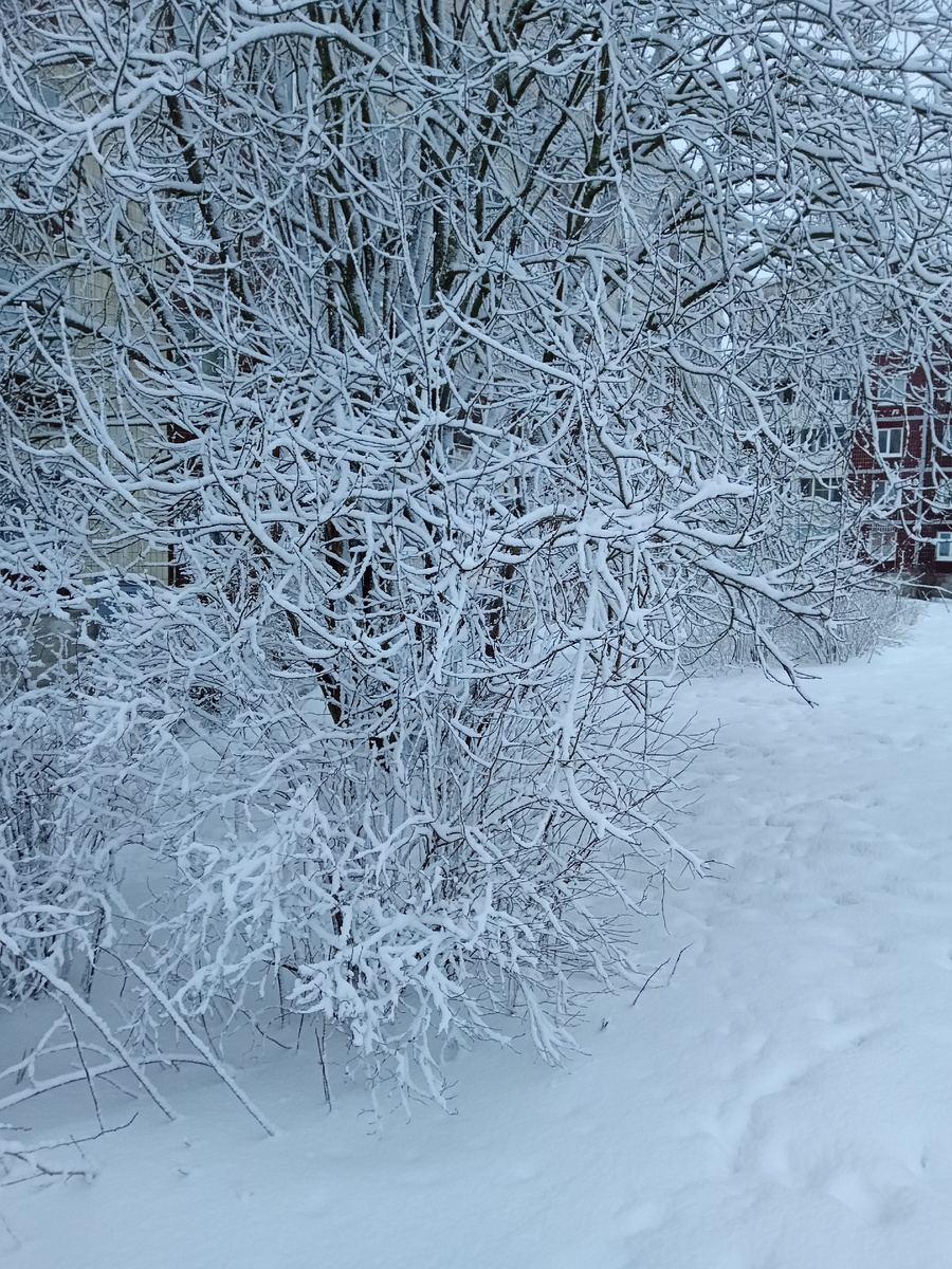 В нашем дворе 