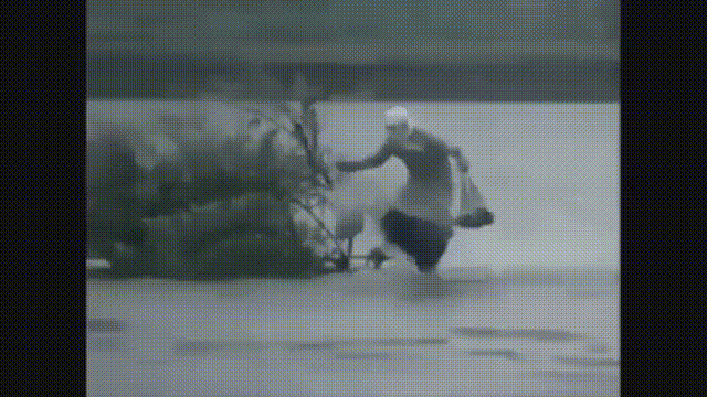 Из открытых источников