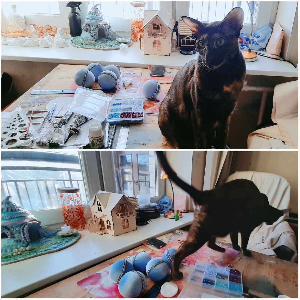 Я  ещё вернусь,  мерзкая орущая баба! И погоняю в футбол этими чудесными бархатными шарами!