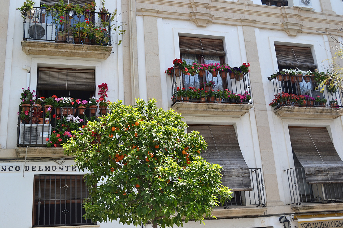 Кордоба. Фото автора 