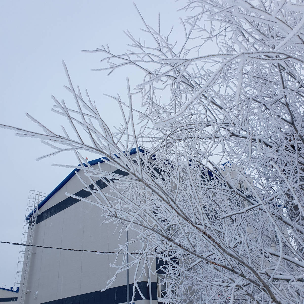 У нас немного похолодало)