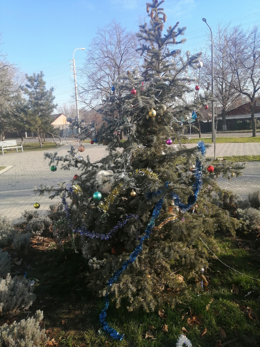 Районная елка🫣