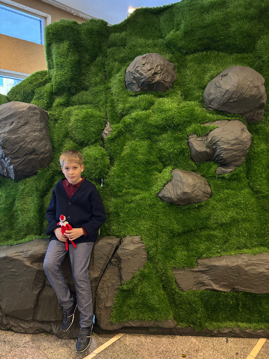 Фото автора. Фотозона сделана к премьере «Баранкин, будь человеком»