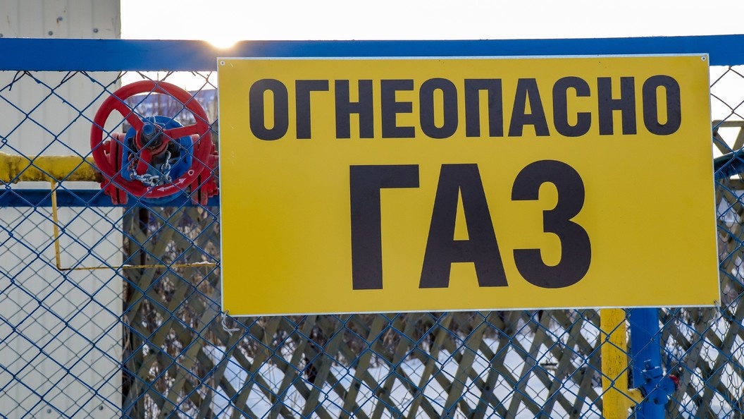    Фото: Elena Mayorova/Global Look Press