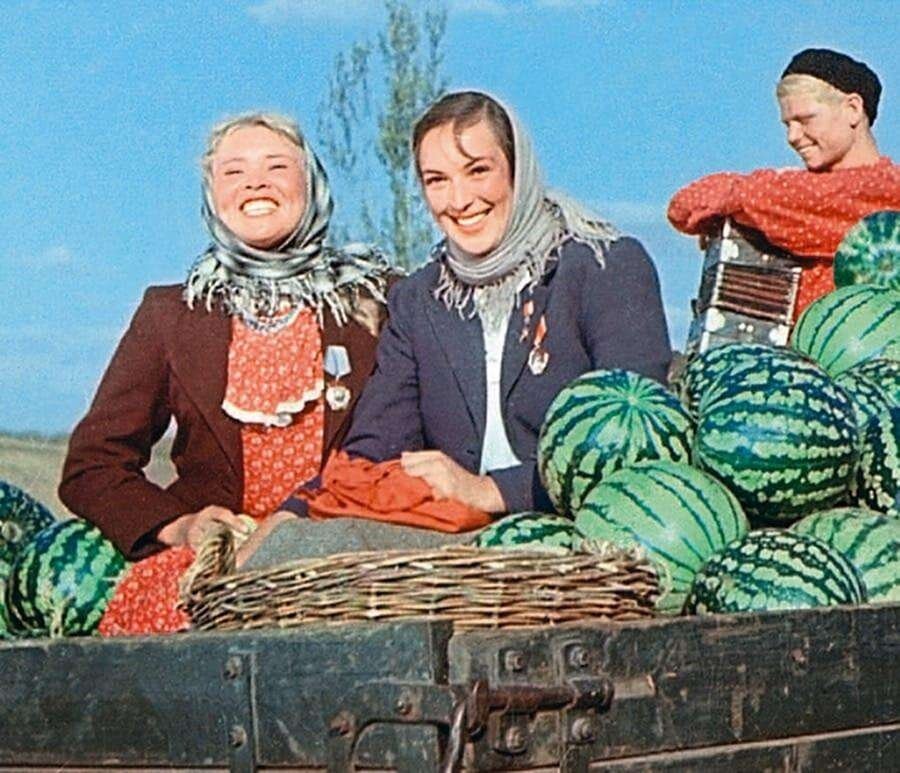 Кадр из фильма «Кубанские казаки» 