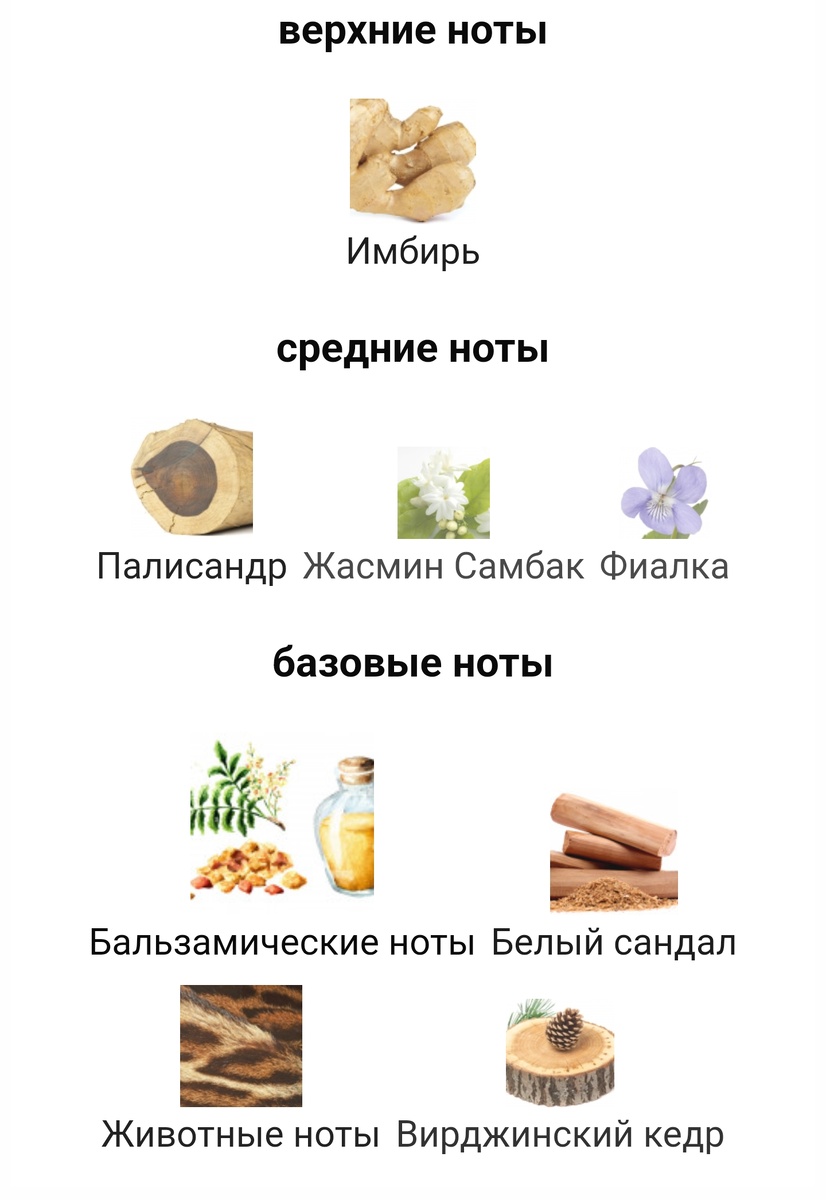 Пирамида с fragrantica.ru