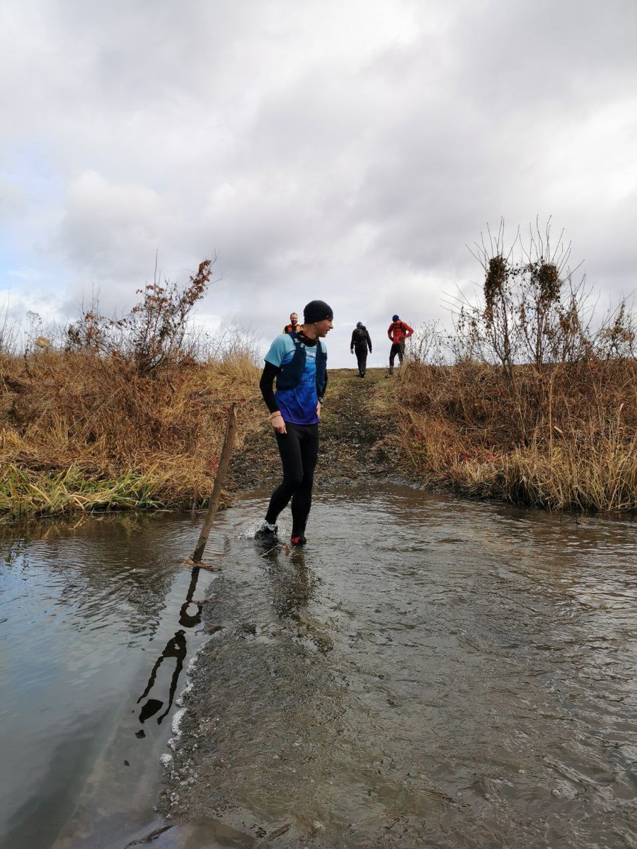 Любите ли вы броды так, как их любит Игорь?