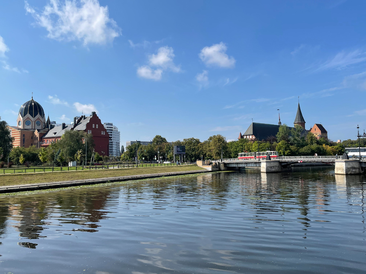 Вид на Кафедральный Собор и Новую Синагогу