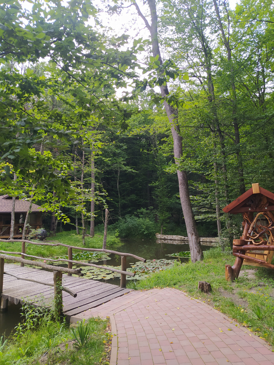 Заповедник Кодру