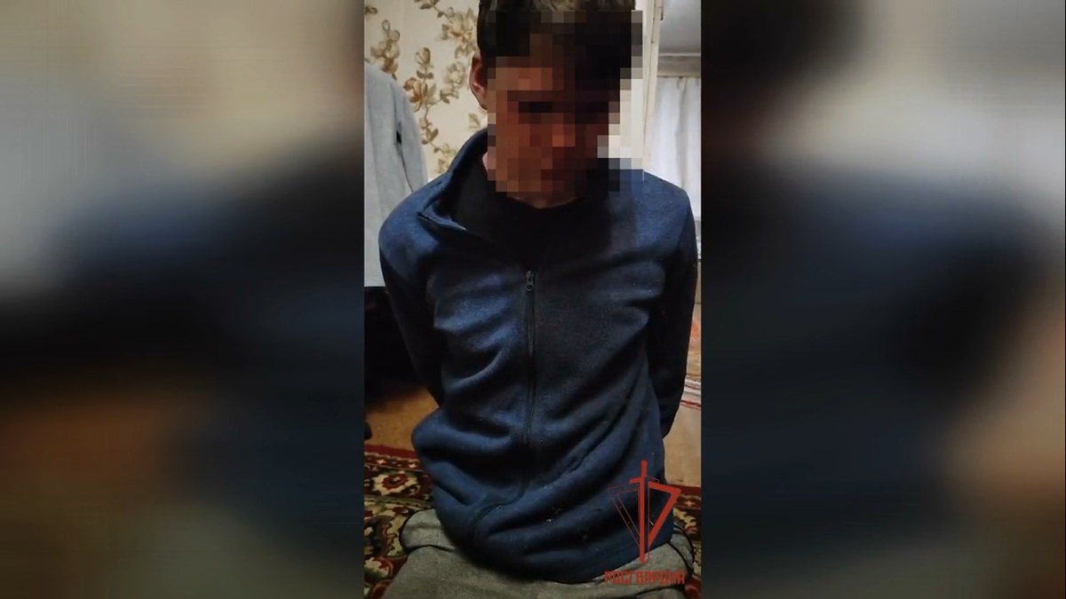    Скриншот видео