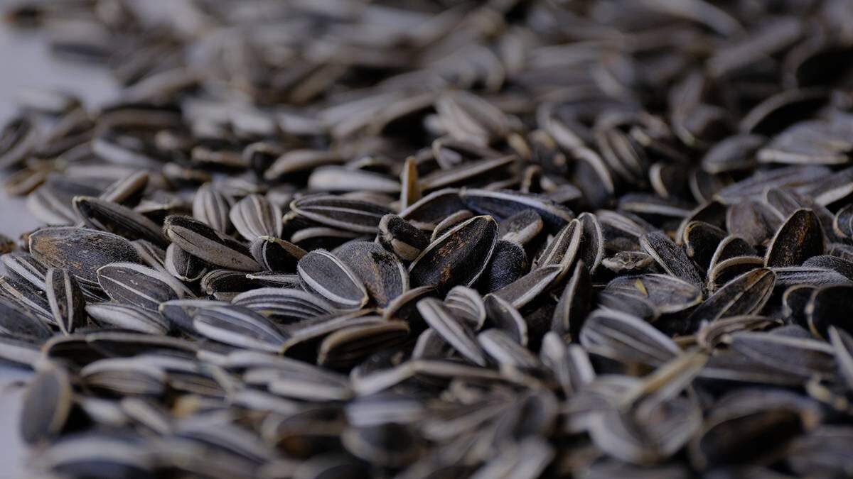    Фото: Shutterstock