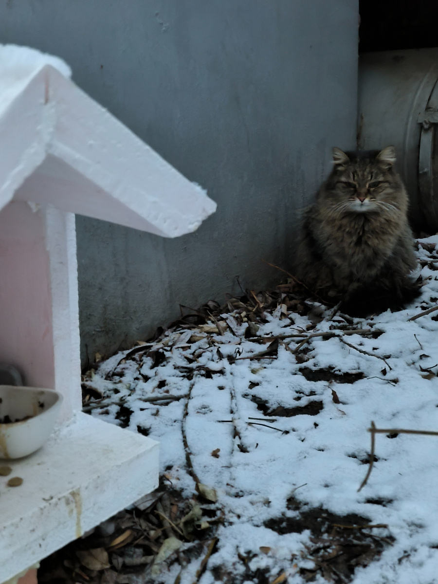 Малышка Серенькая