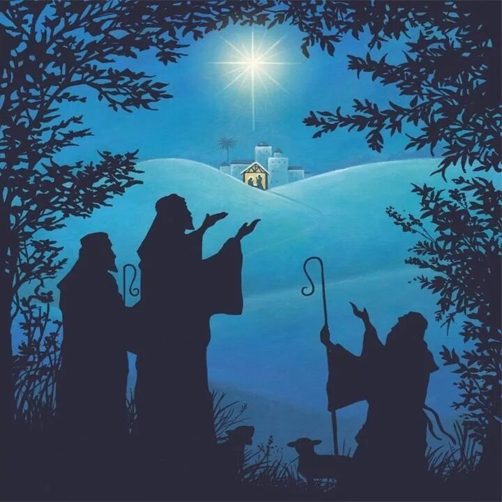 Фото из открытого источника Yandex.