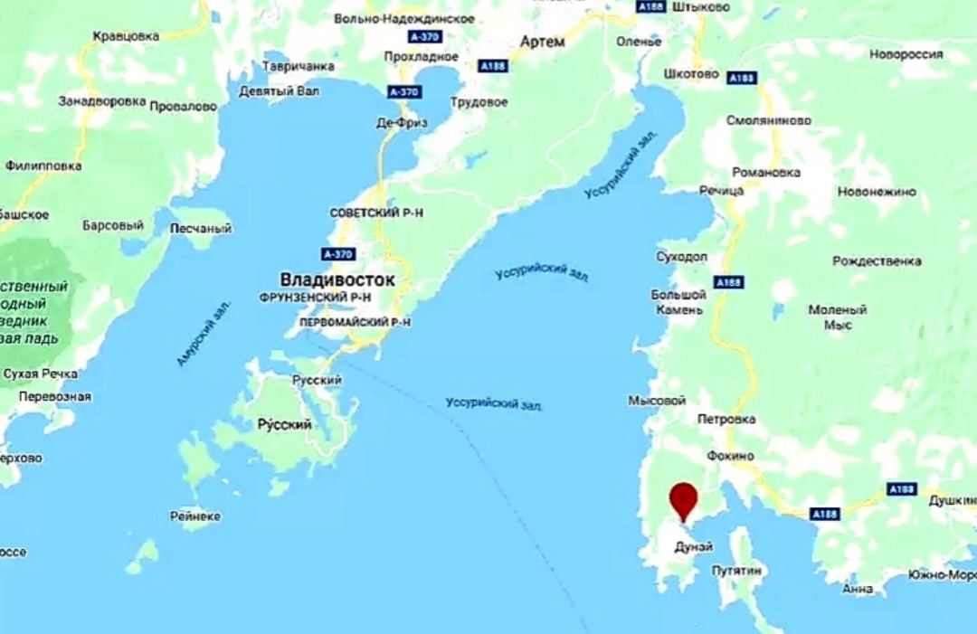 Фото из интернета 