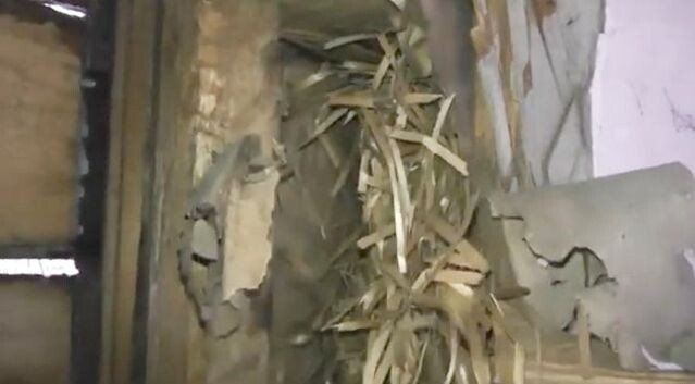 Стружка в стенах 70-летнего дома под Томском