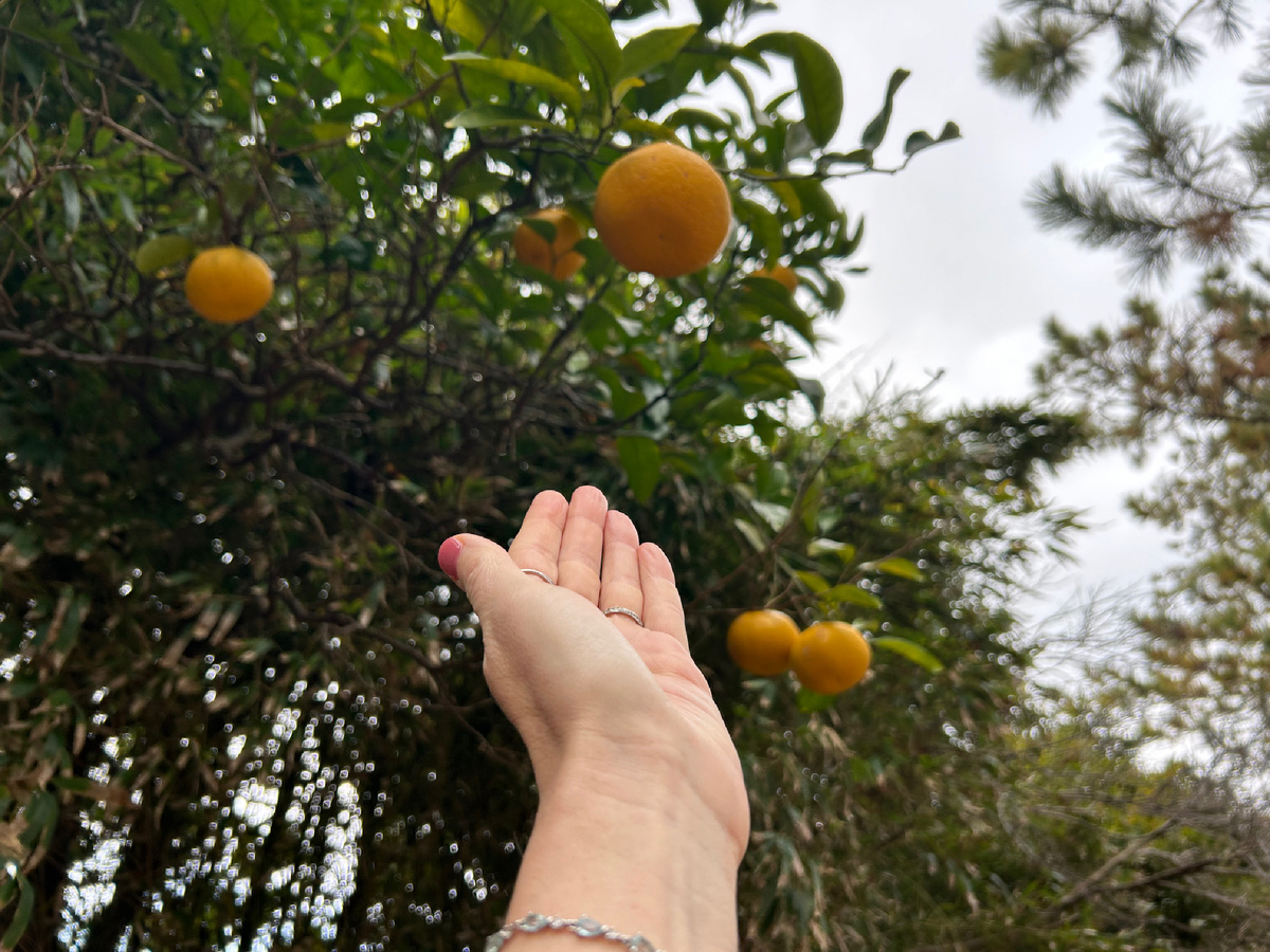 На следующий день после балета. Иду, осмысливаю.