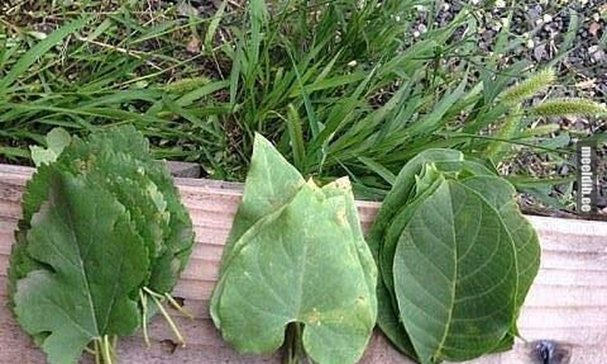 В детстве так легко было стать миллионером, а сейчас...