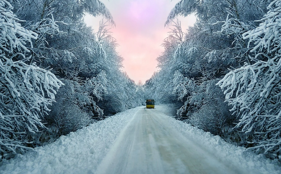 Яндекс картинки