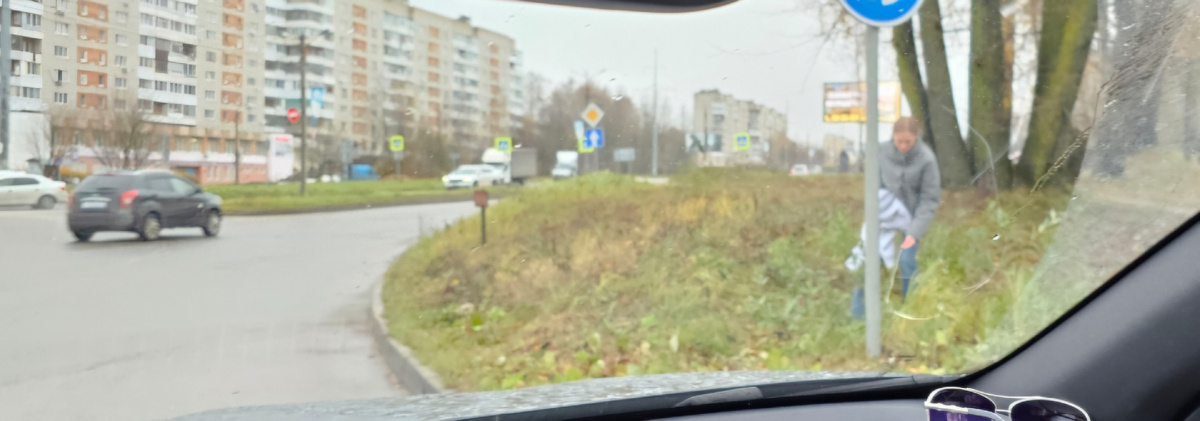 Фото автора. Похожая Девочка сделала попытку поймать.